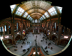 Natural History Museum